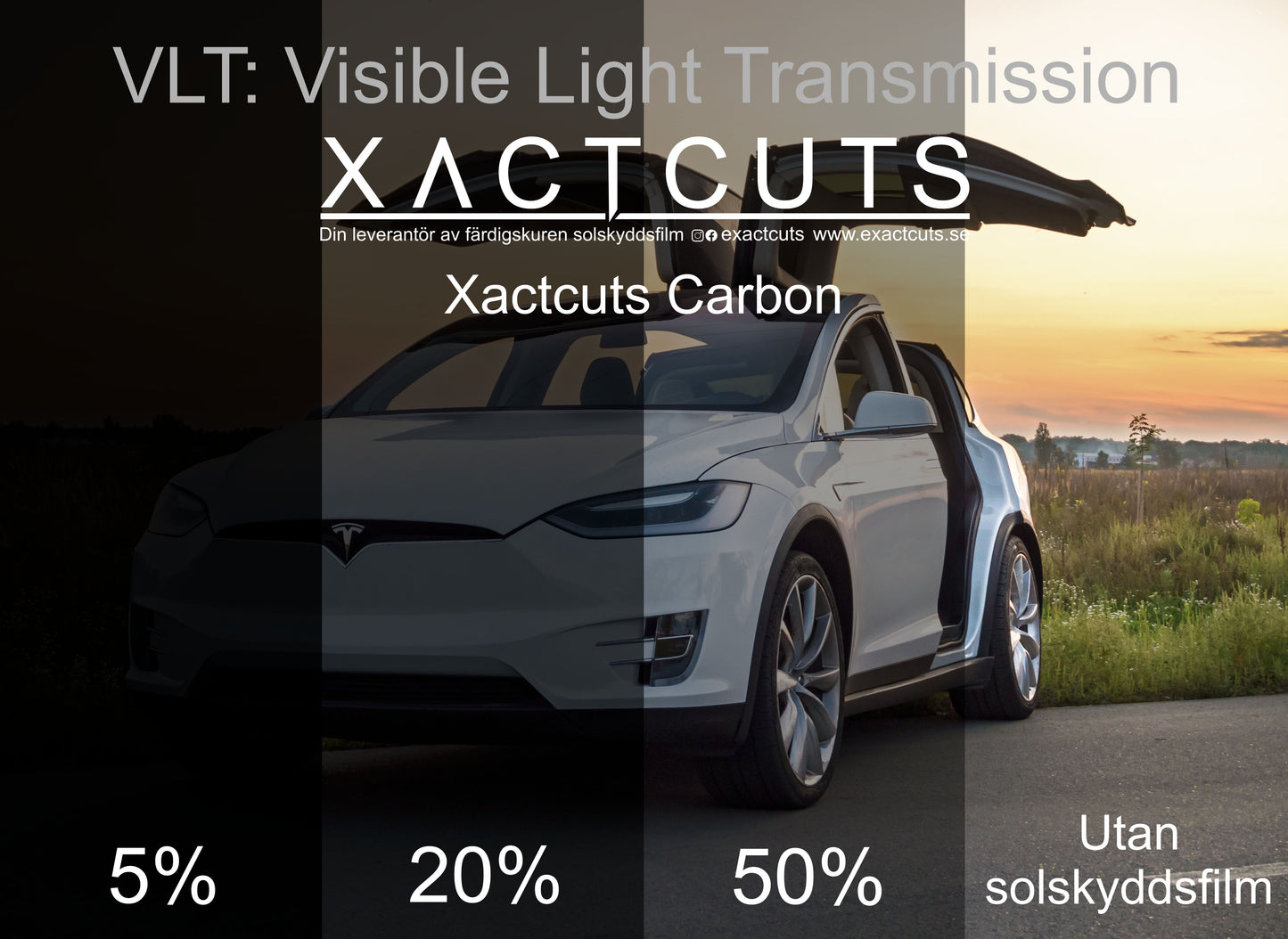 Pre-cut window tint Ford F150 (Option 1) 2015-2026